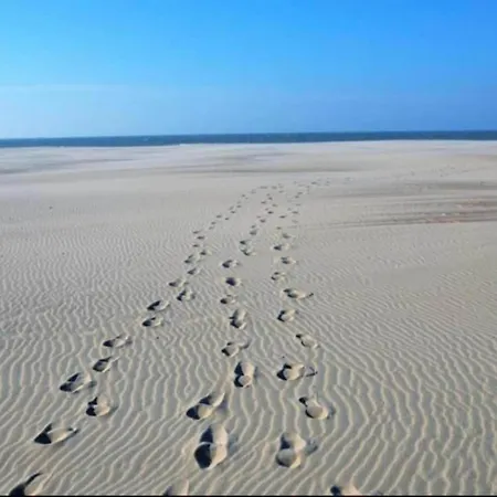 In By The ניופורט