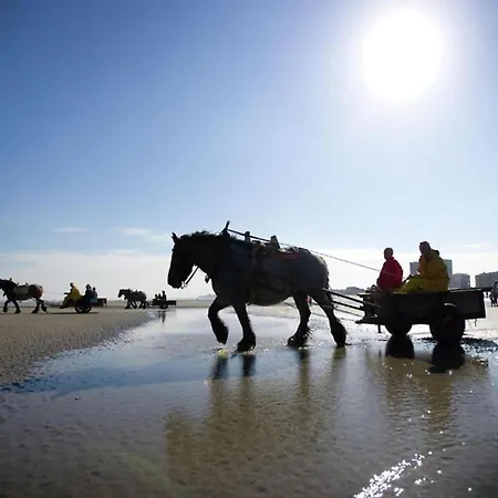 In By The ניופורט