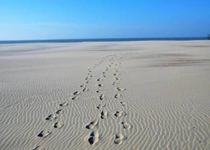 In By The Nieuwpoort