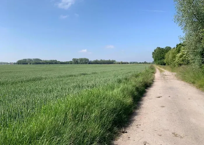 In By The Nieuwpoort