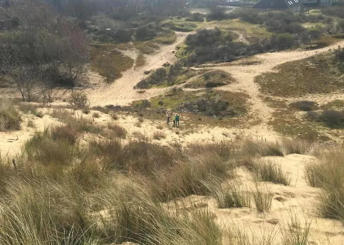 Apartment In By The *